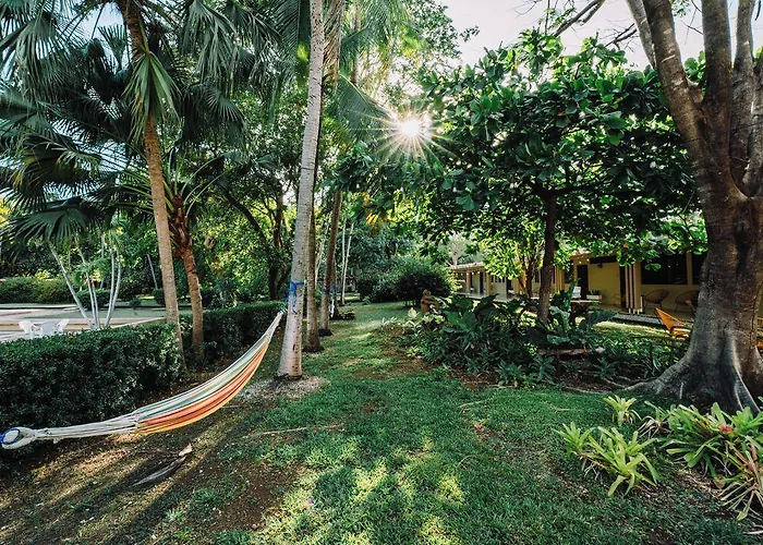 Diria Hotel 3*